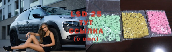 стаф Арсеньев