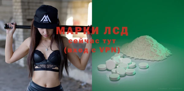 стаф Арсеньев