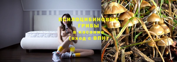 кокс Аркадак