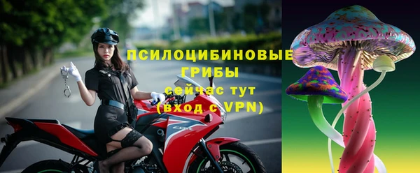кокс Аркадак